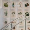 Botanical prints gallery wall